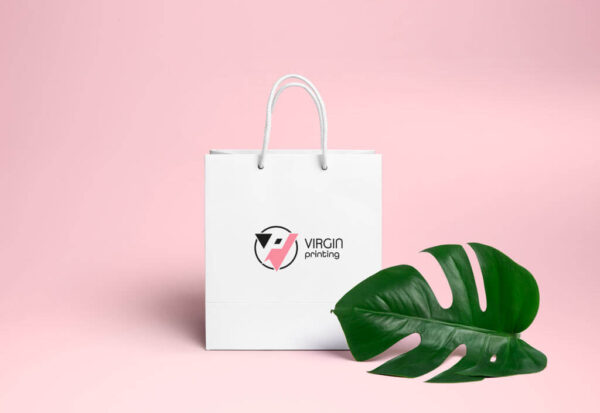 Paper Printing Bags