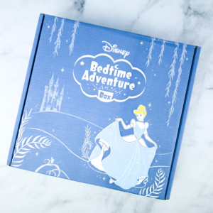 Disney Subscription Boxes