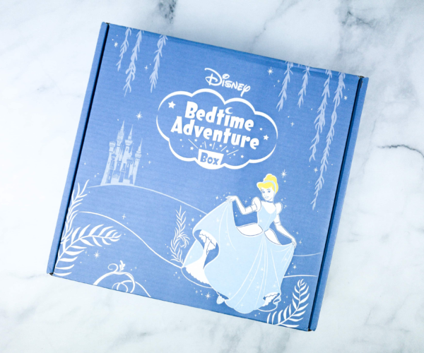Disney Subscription Boxes