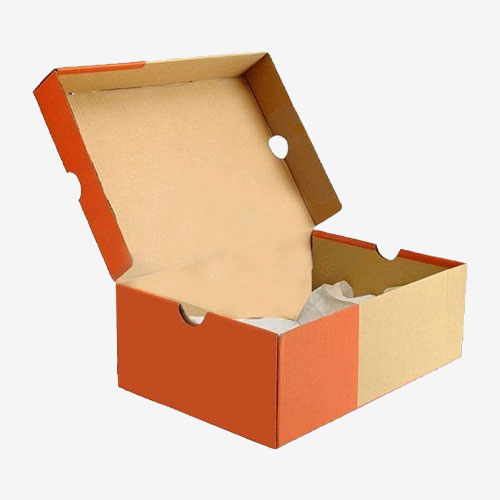 Best Shoe Display Boxes