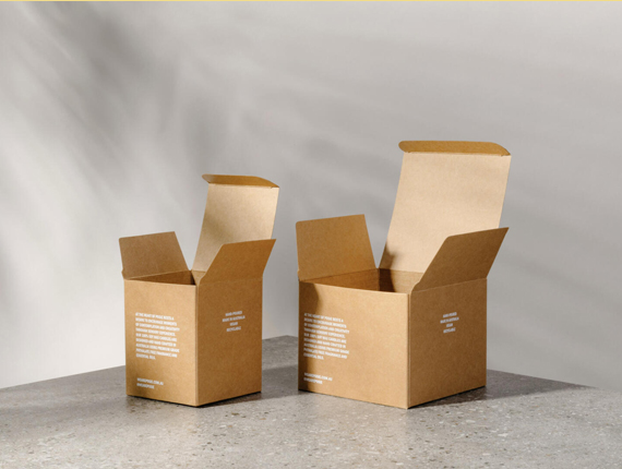 Kraft Tuck Top Mailer Boxes