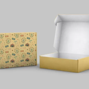 Packaging Mailer Box
